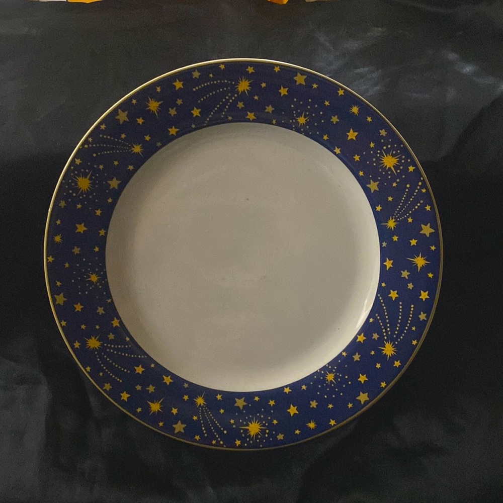 Vitromaster Galaxy Dinner Plate